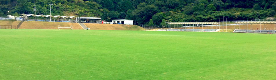 グリーンフィールド